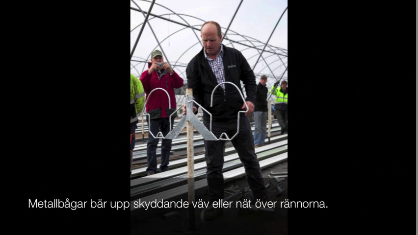 See video